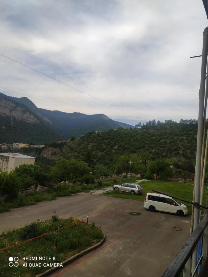 Alena'S Flat Apartment Borjomi Exterior photo