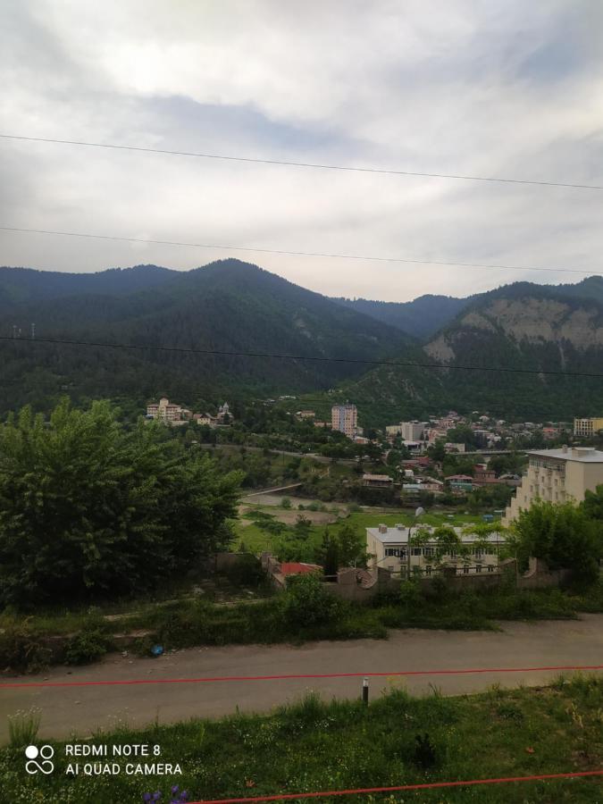 Alena'S Flat Apartment Borjomi Exterior photo